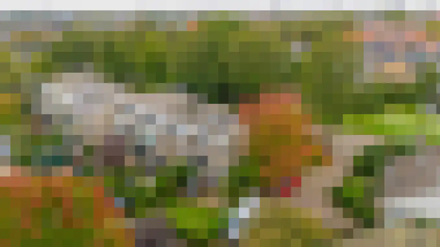 De Nesse 15 Wateringen thumbnail 24