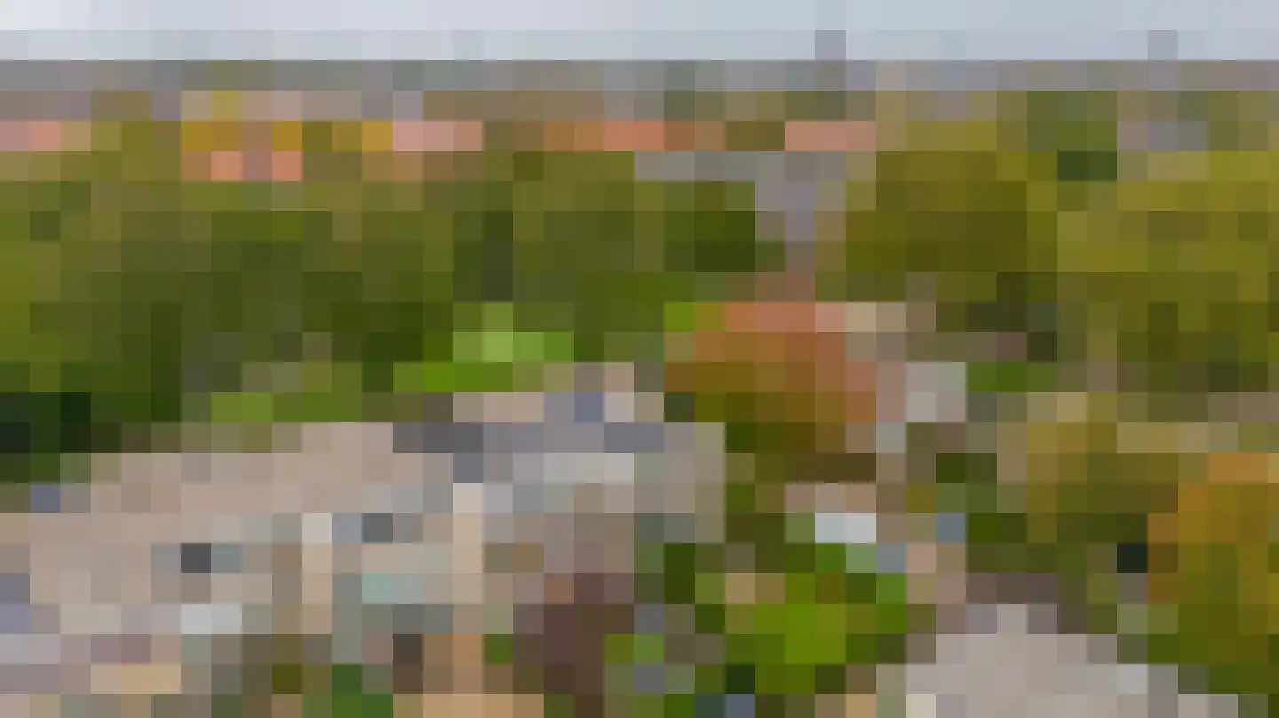 De Nesse 15 Wateringen thumbnail 25
