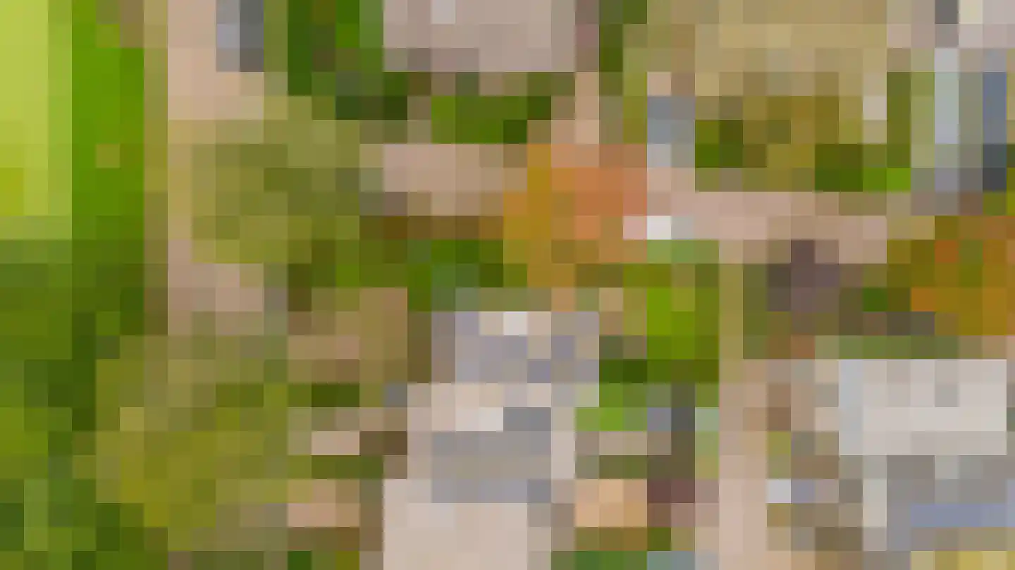 De Nesse 15 Wateringen thumbnail 26
