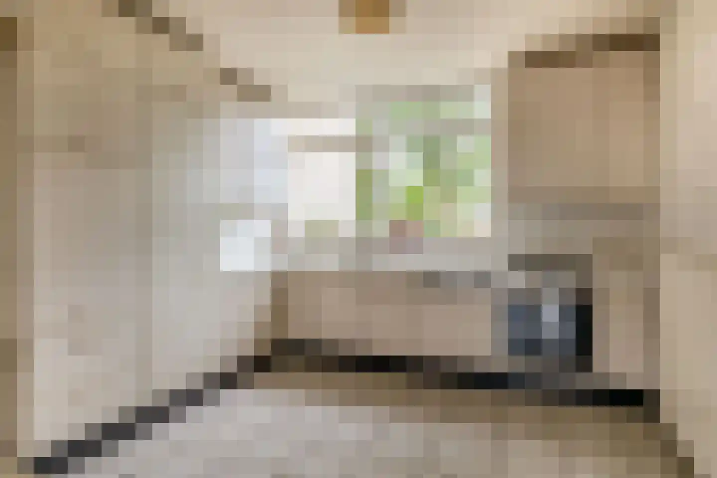 De Nesse 15 Wateringen thumbnail 8