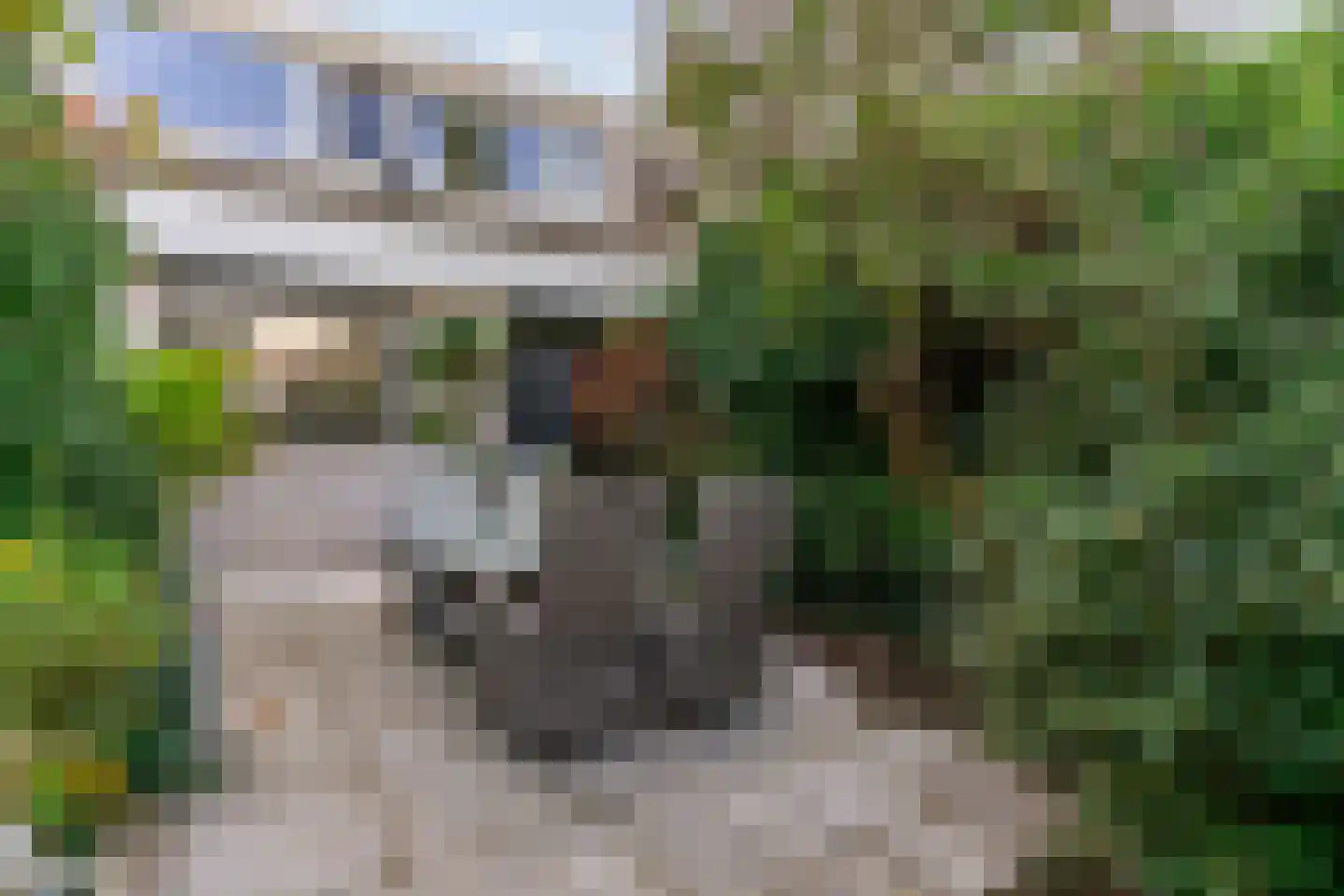 De Nessermolen 107 Amstelveen thumbnail 27