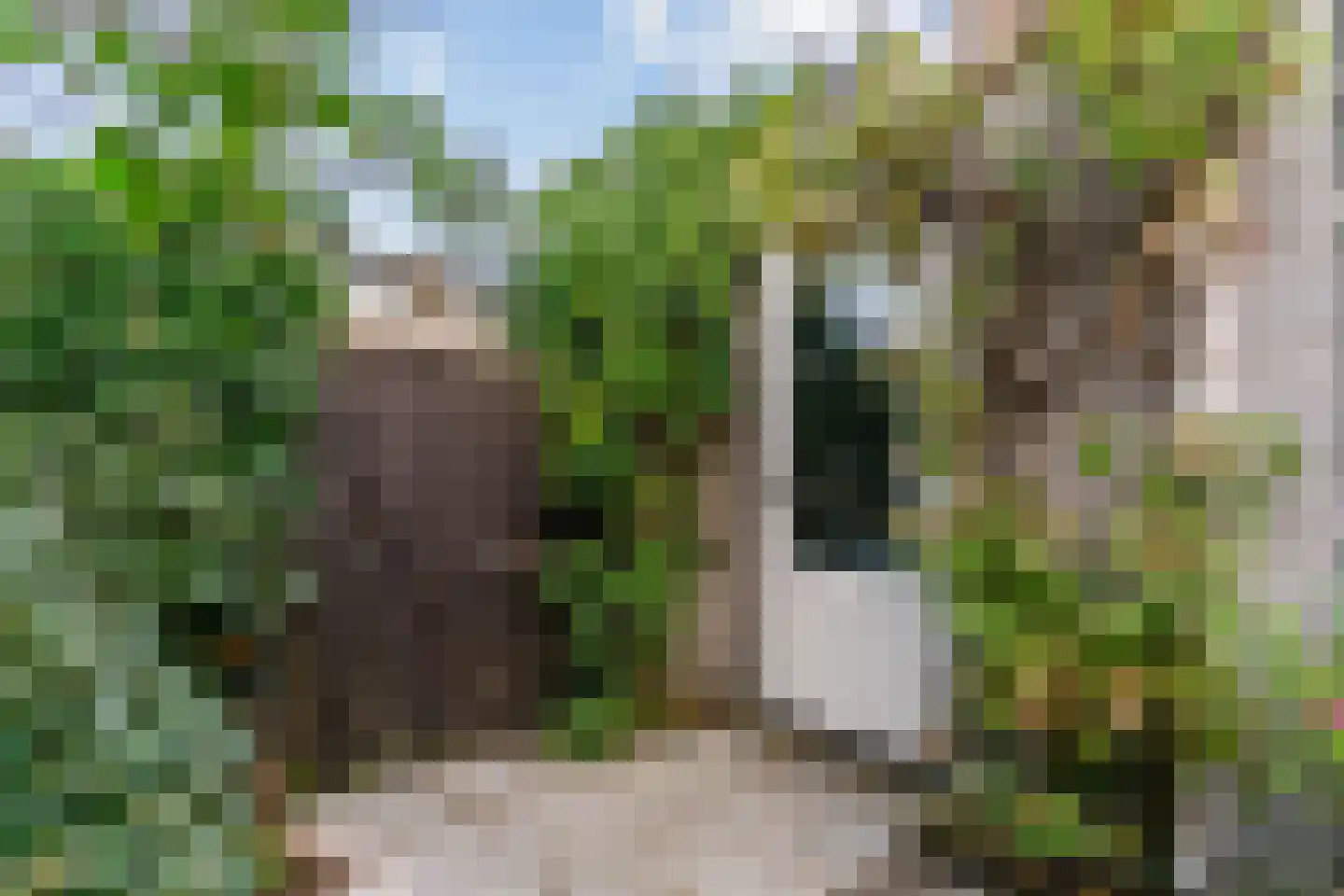 De Nessermolen 107 Amstelveen thumbnail 29