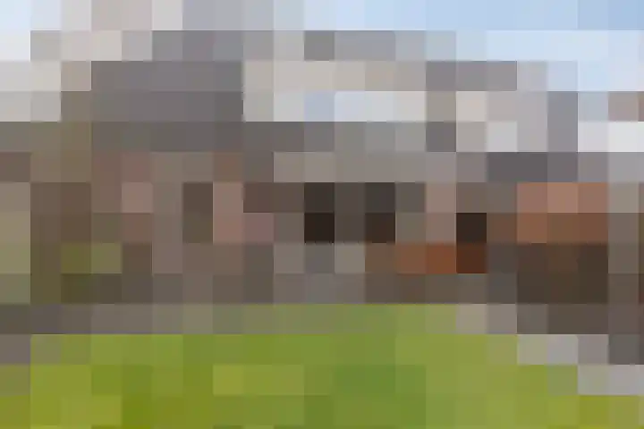 De Nessermolen 37 Amstelveen thumbnail 20