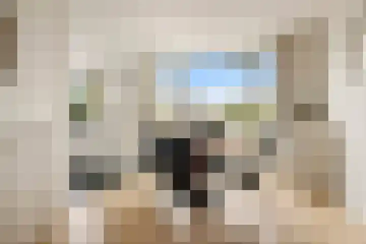 De Nessermolen 74 Amstelveen thumbnail 12
