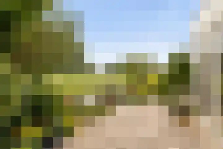 De Nessermolen 74 Amstelveen thumbnail 31