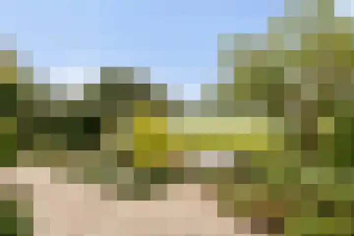De Nessermolen 74 Amstelveen thumbnail 32