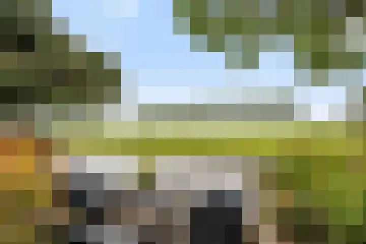 De Nessermolen 74 Amstelveen thumbnail 33