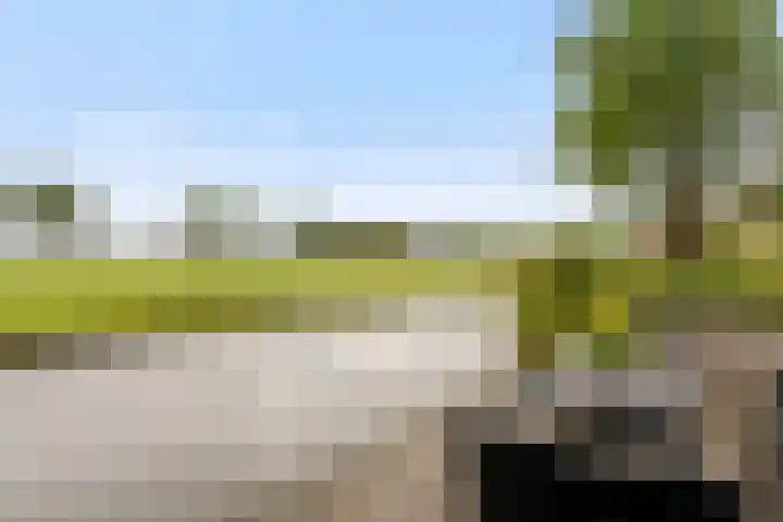 De Nessermolen 74 Amstelveen thumbnail 34