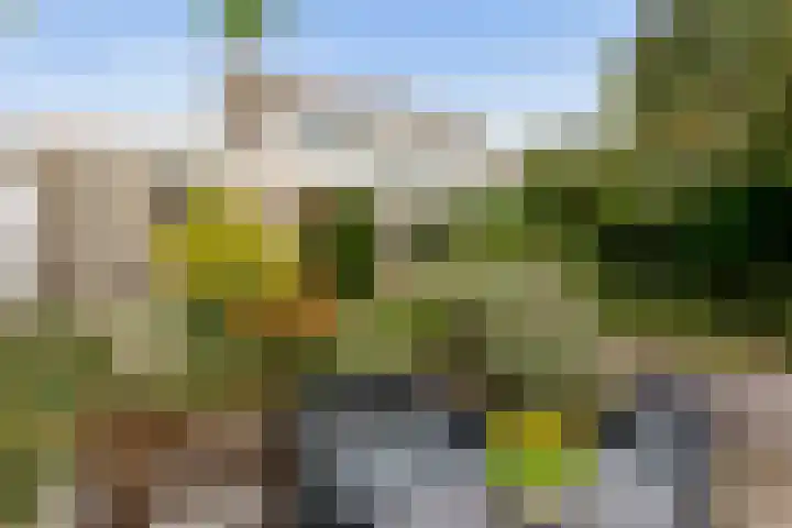 De Nessermolen 74 Amstelveen thumbnail 36