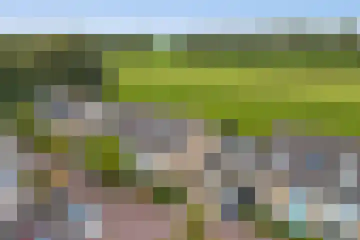 De Nessermolen 74 Amstelveen thumbnail 42