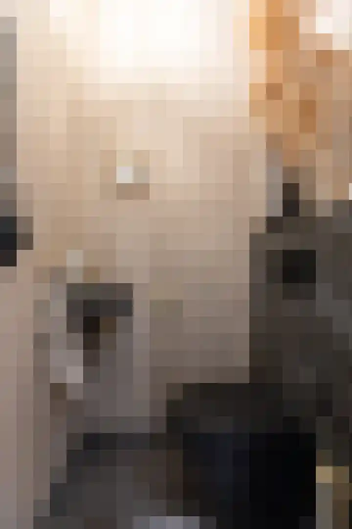 De Nevel 11 Doetinchem thumbnail 11