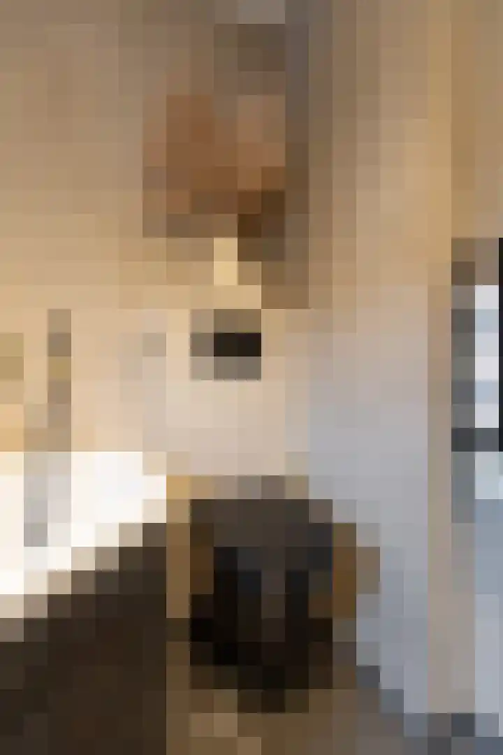 De Nevel 11 Doetinchem thumbnail 35