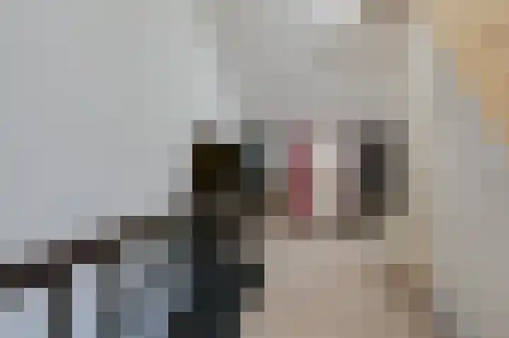 De Nevel 11 Doetinchem thumbnail 38