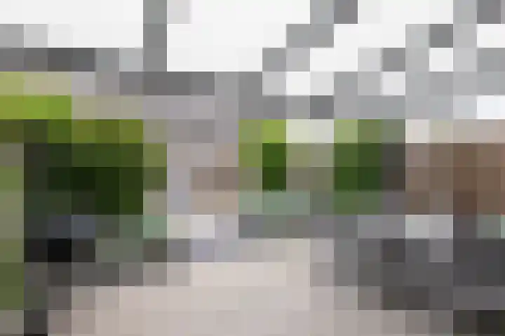 De Nevel 11 Doetinchem thumbnail 43