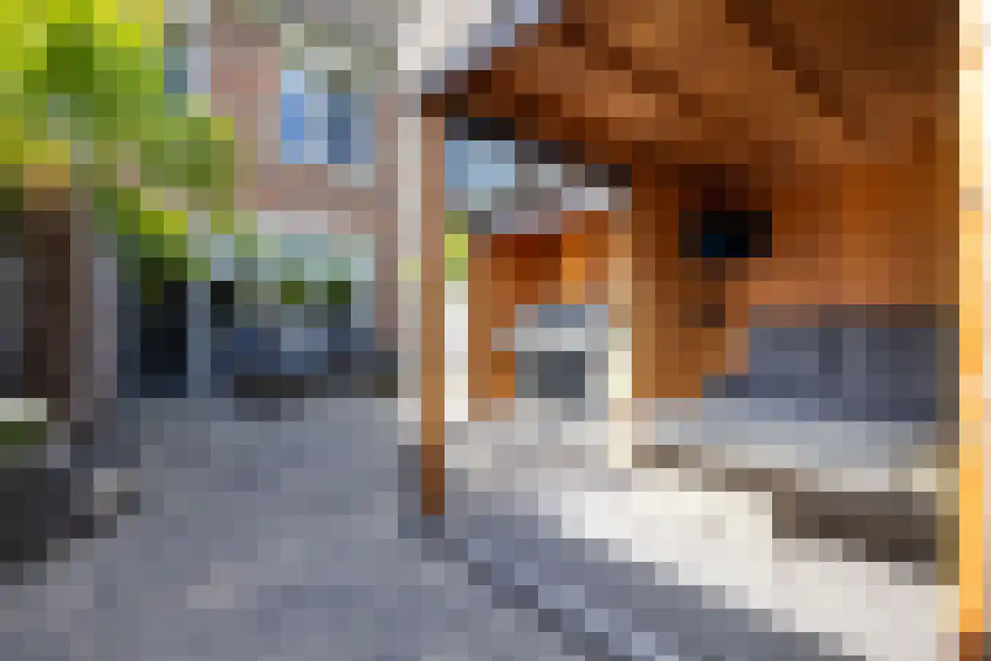 De Nevel 18 Doetinchem thumbnail 17