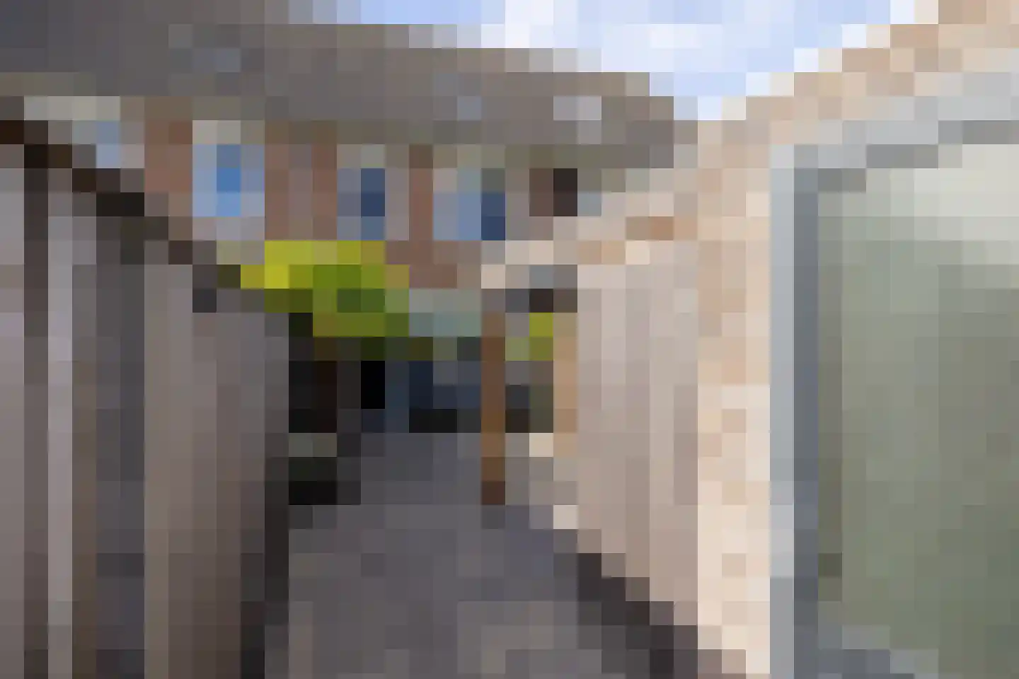 De Nevel 18 Doetinchem thumbnail 18