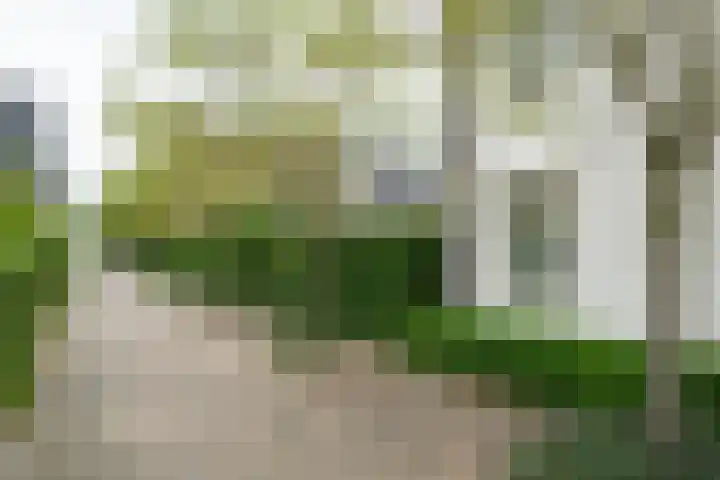 De Nevel 20 Doetinchem thumbnail 34