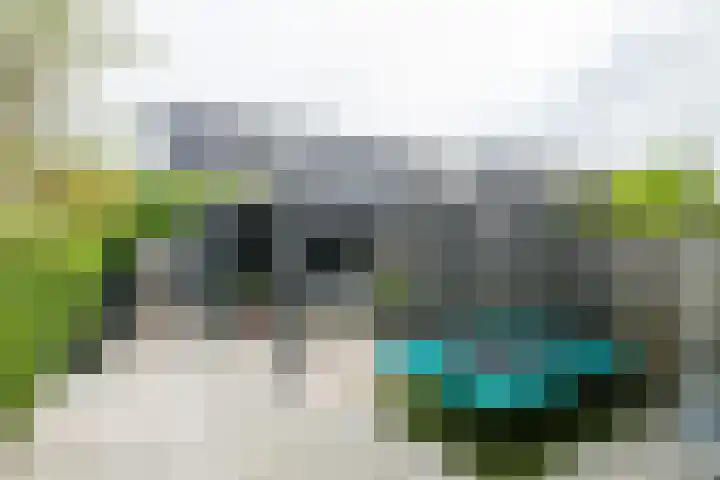 De Nevel 20 Doetinchem thumbnail 37