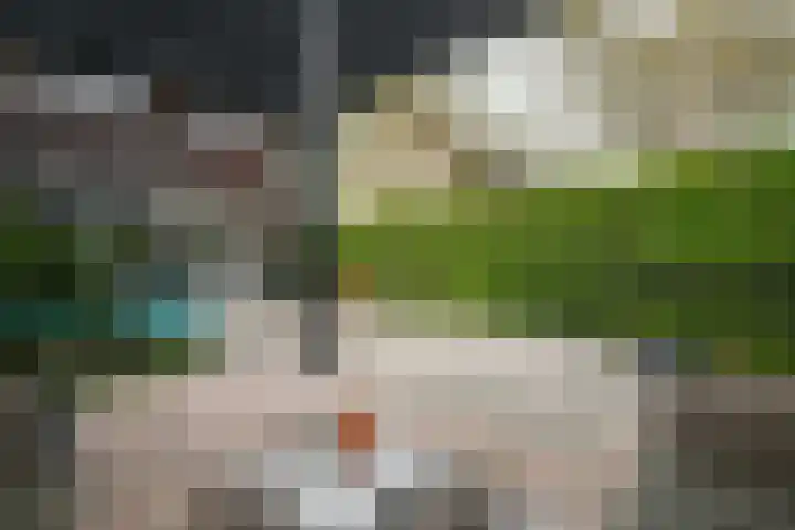 De Nevel 20 Doetinchem thumbnail 42