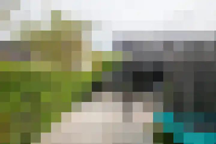 De Nevel 20 Doetinchem thumbnail 43
