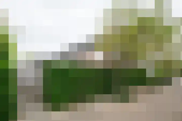 De Nevel 20 Doetinchem thumbnail 49