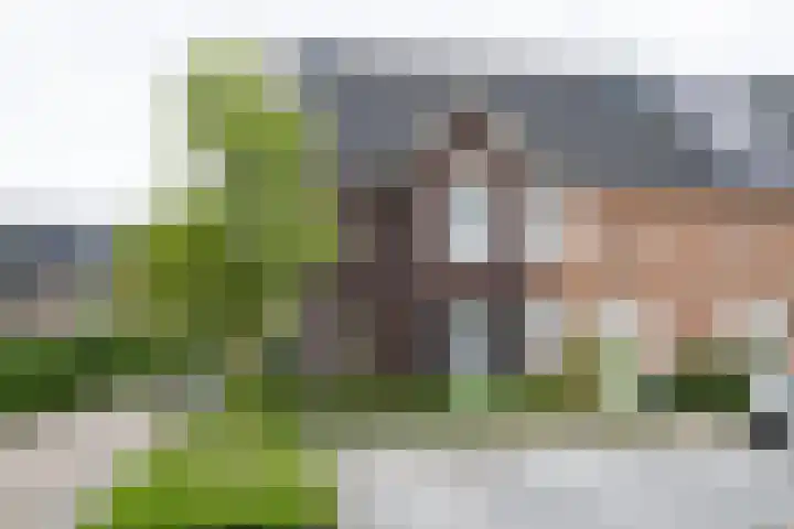 De Nevel 20 Doetinchem thumbnail 64