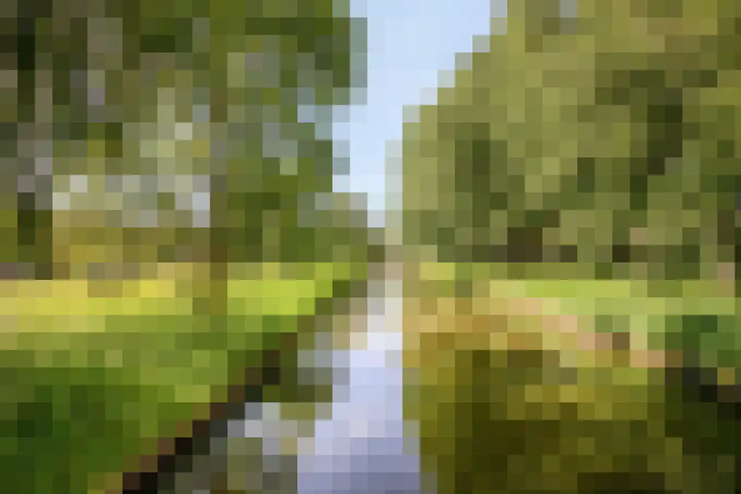 De Nevelhorststraat 2 Almere thumbnail 33