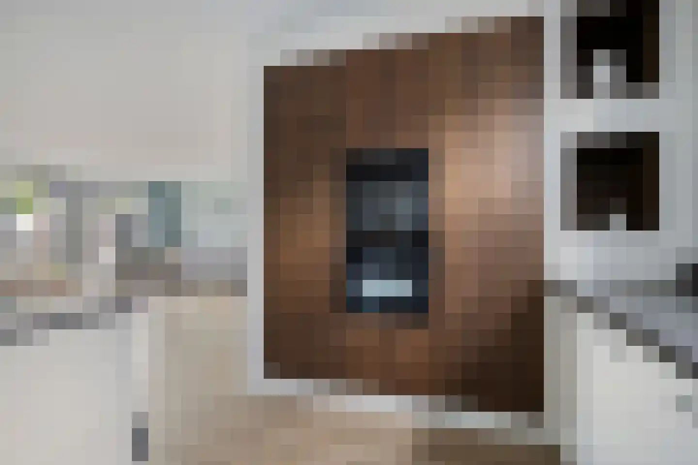 De Nielt 13 Cuijk thumbnail 22