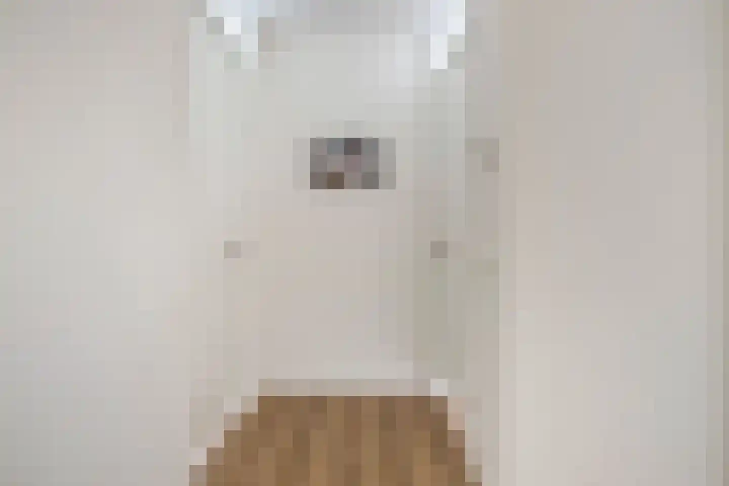De Nielt 13 Cuijk thumbnail 25