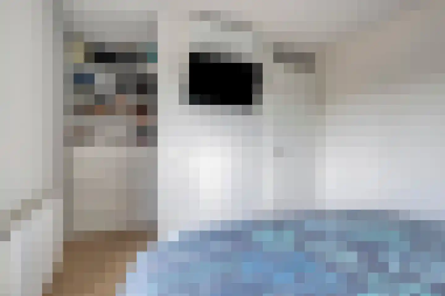 De Nielt 13 Cuijk thumbnail 27