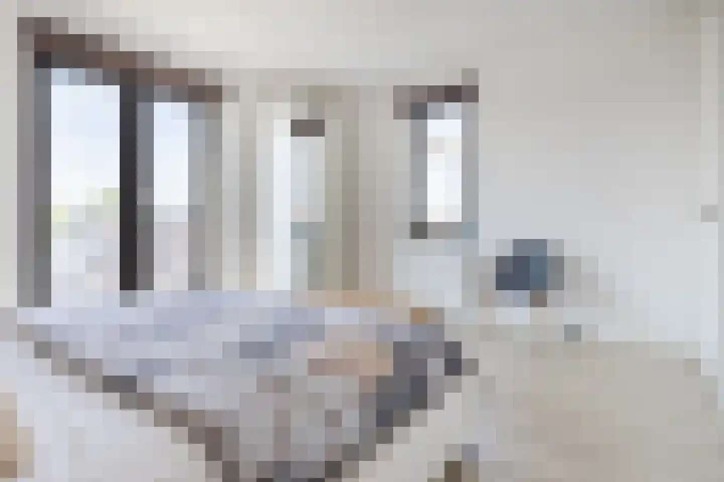 De Nielt 27 Cuijk thumbnail 28