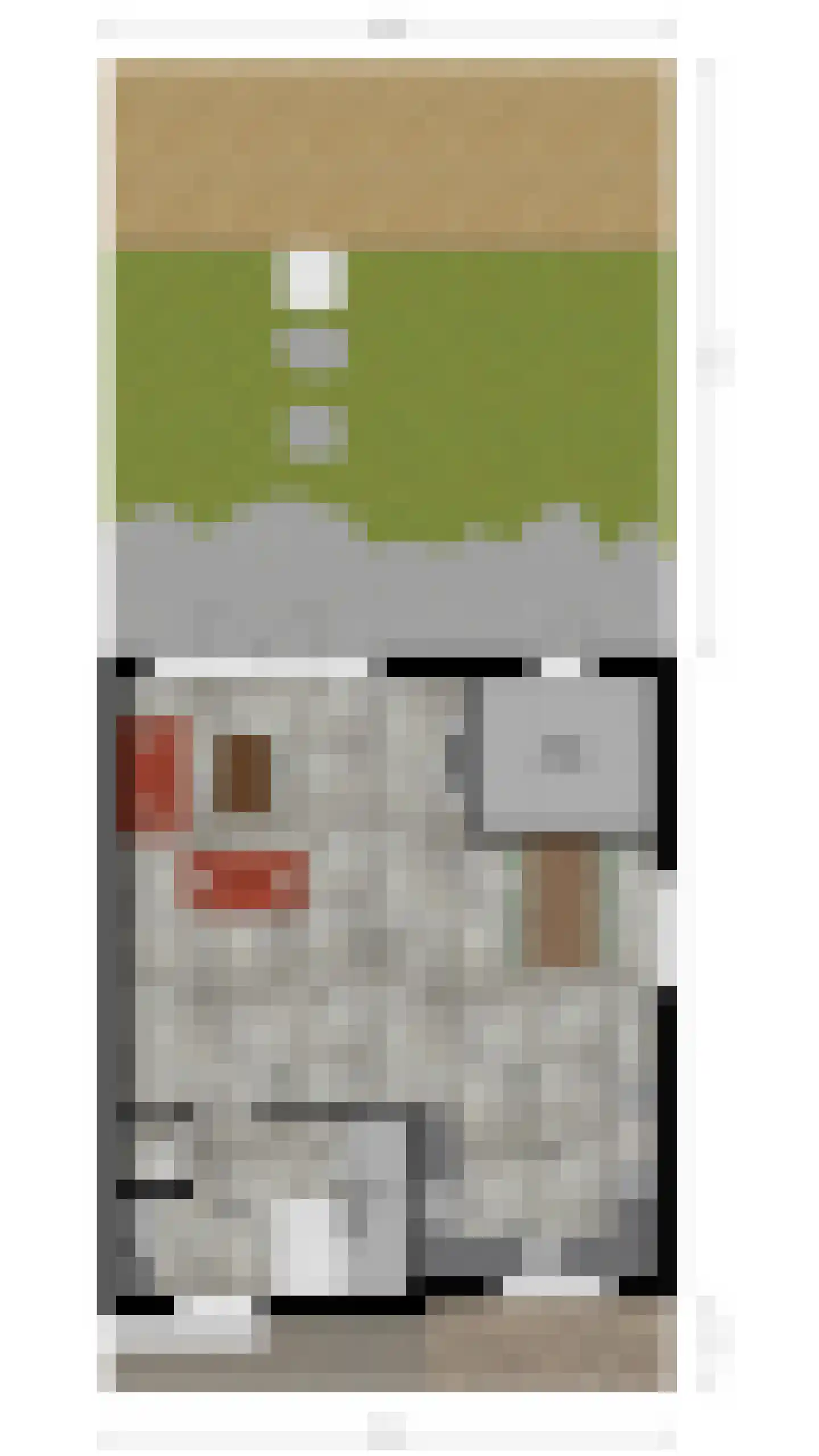 De Nielt 27 Cuijk thumbnail 43