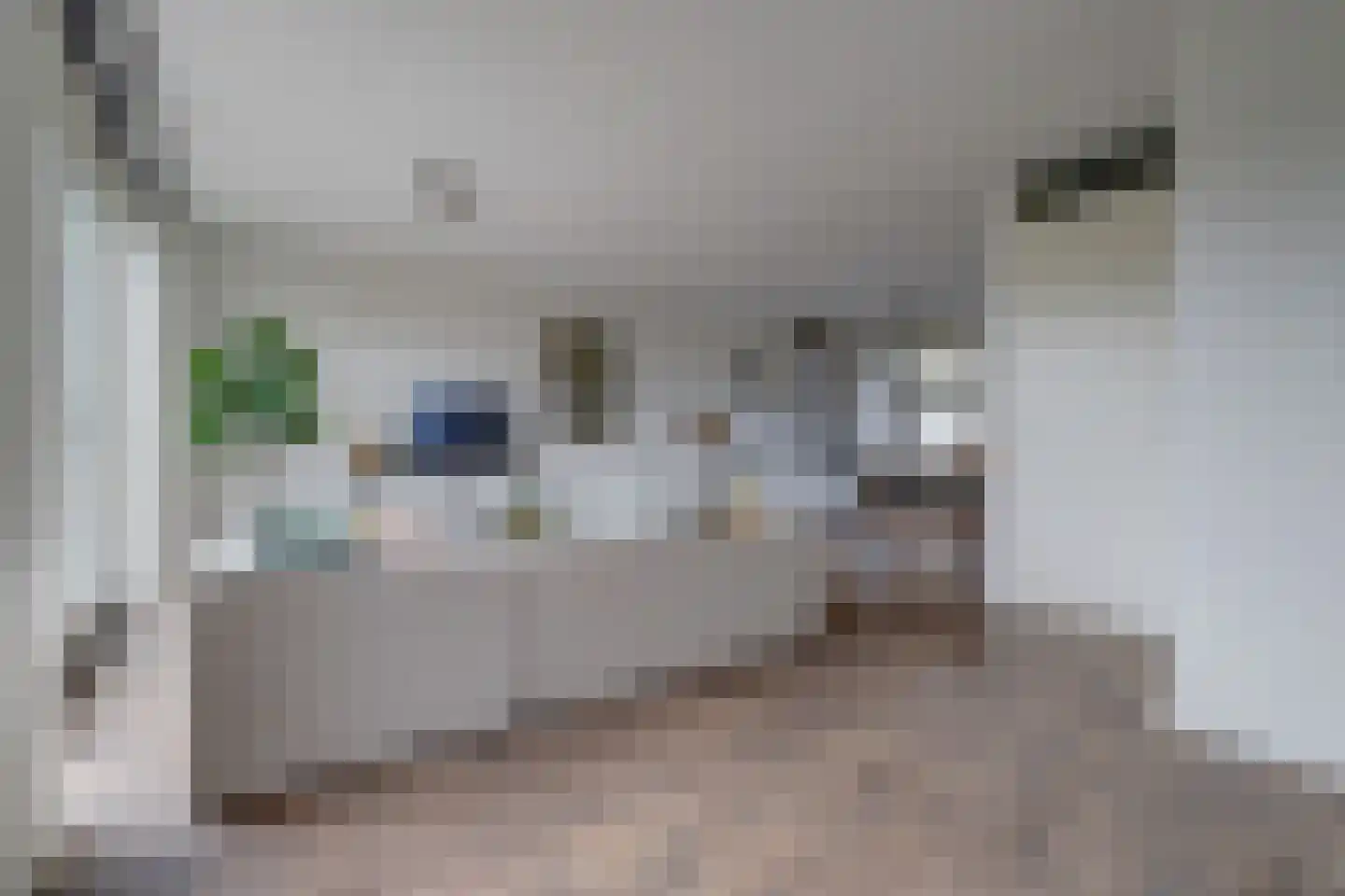 De Nielt 3 Cuijk thumbnail 11