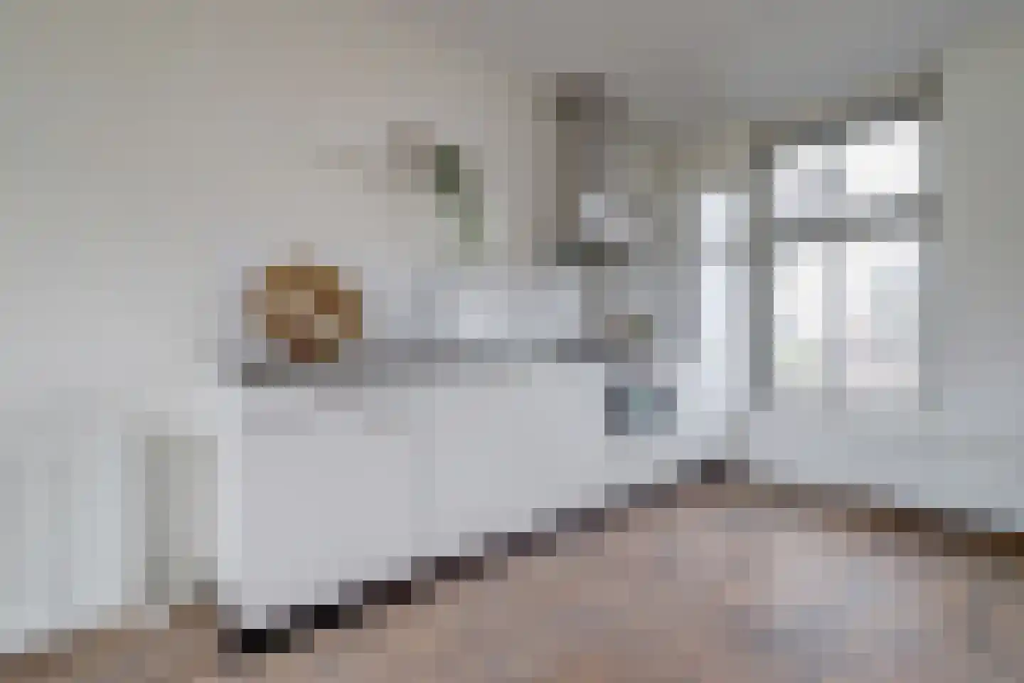 De Nielt 3 Cuijk thumbnail 13
