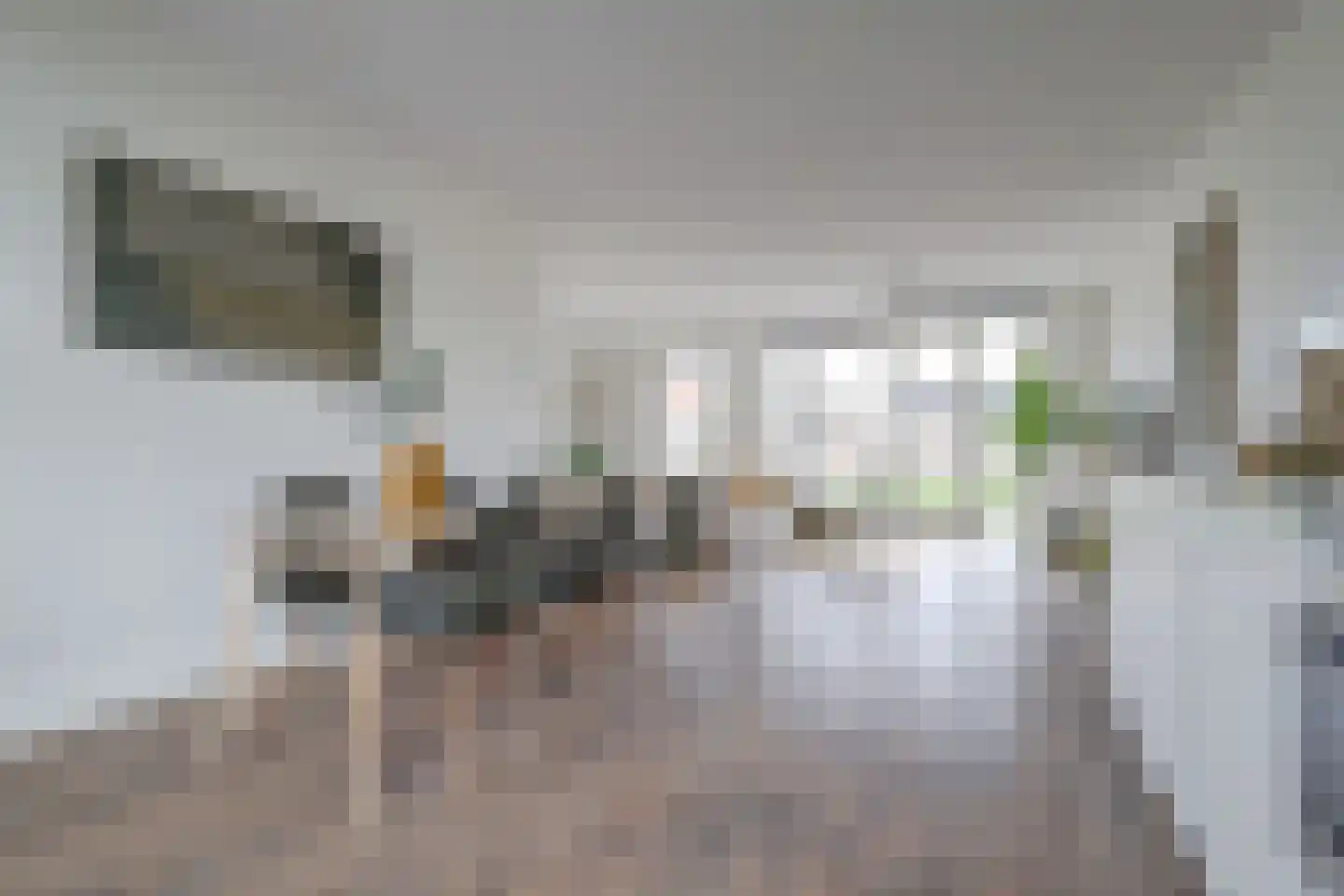 De Nielt 3 Cuijk thumbnail 15