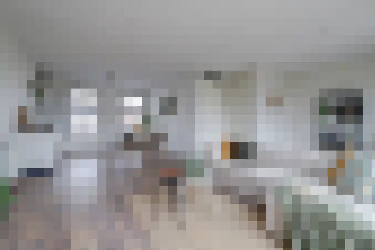 De Nielt 3 Cuijk foto 2