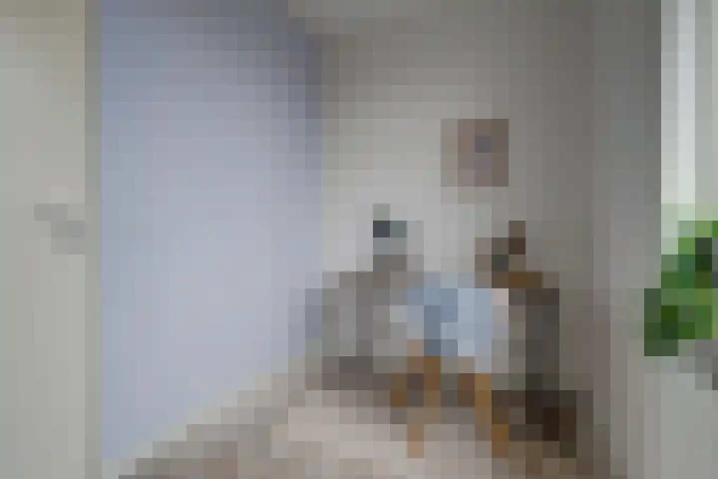 De Nielt 3 Cuijk thumbnail 26