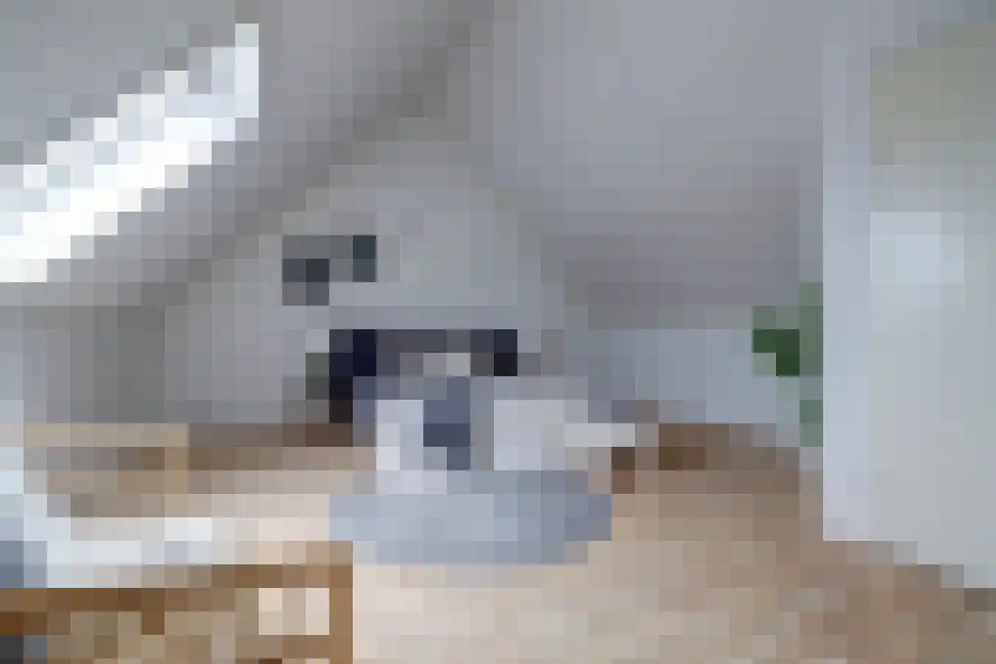 De Nielt 3 Cuijk thumbnail 29