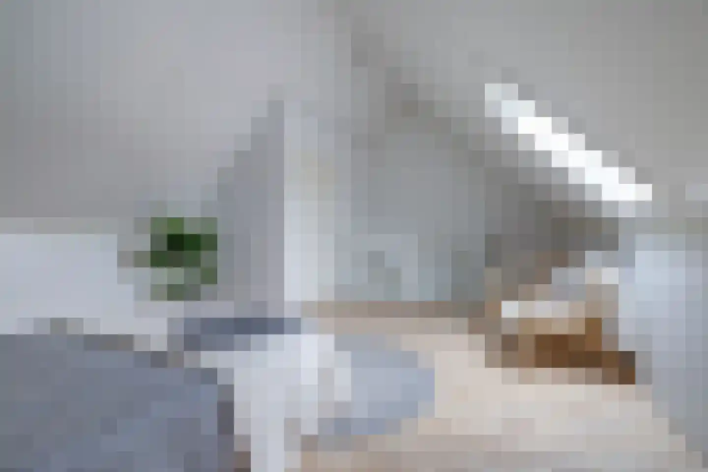 De Nielt 3 Cuijk thumbnail 30
