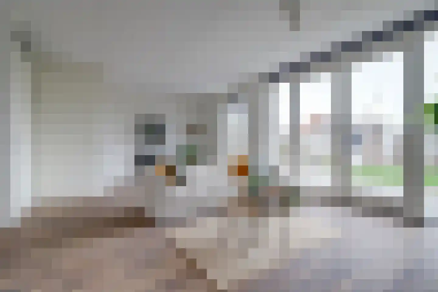 De Nielt 3 Cuijk thumbnail 8
