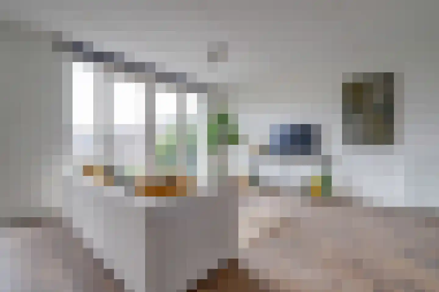 De Nielt 3 Cuijk thumbnail 9