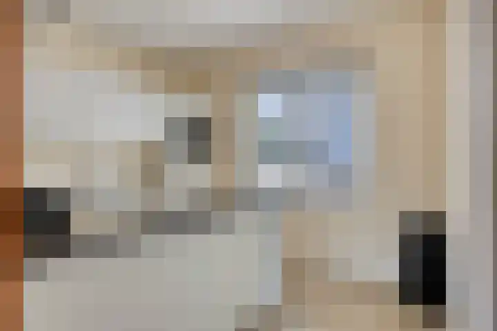 De Nielt 32 Cuijk thumbnail 10