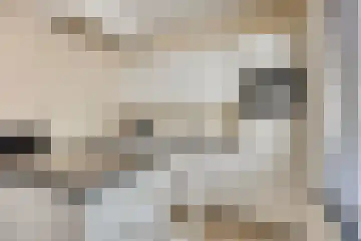 De Nielt 32 Cuijk thumbnail 11