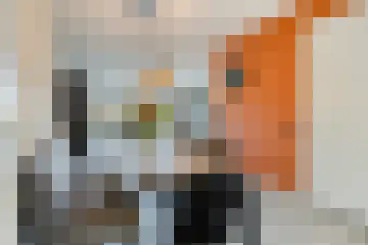 De Nielt 32 Cuijk thumbnail 13