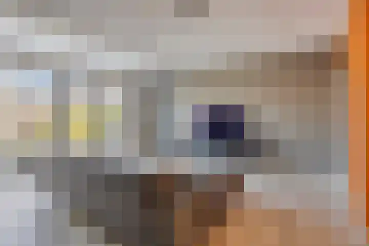 De Nielt 32 Cuijk thumbnail 17