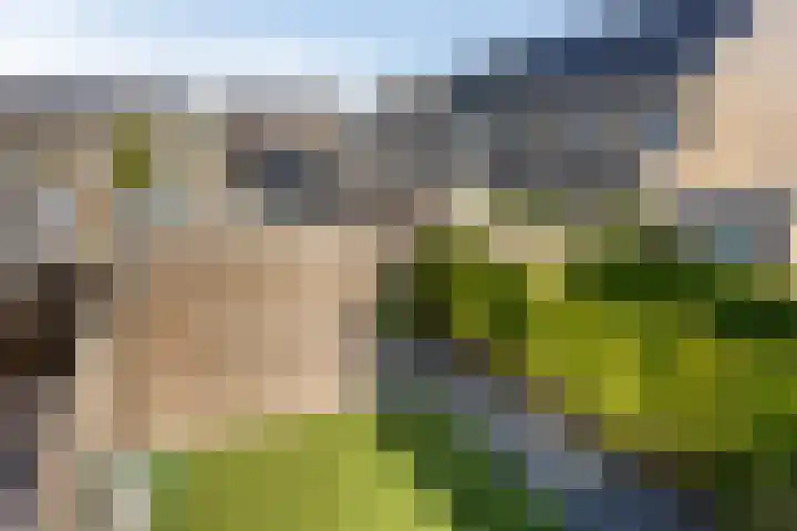 De Nielt 32 Cuijk thumbnail 36