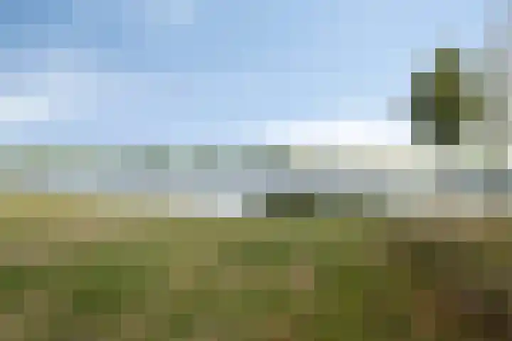De Nielt 32 Cuijk thumbnail 39