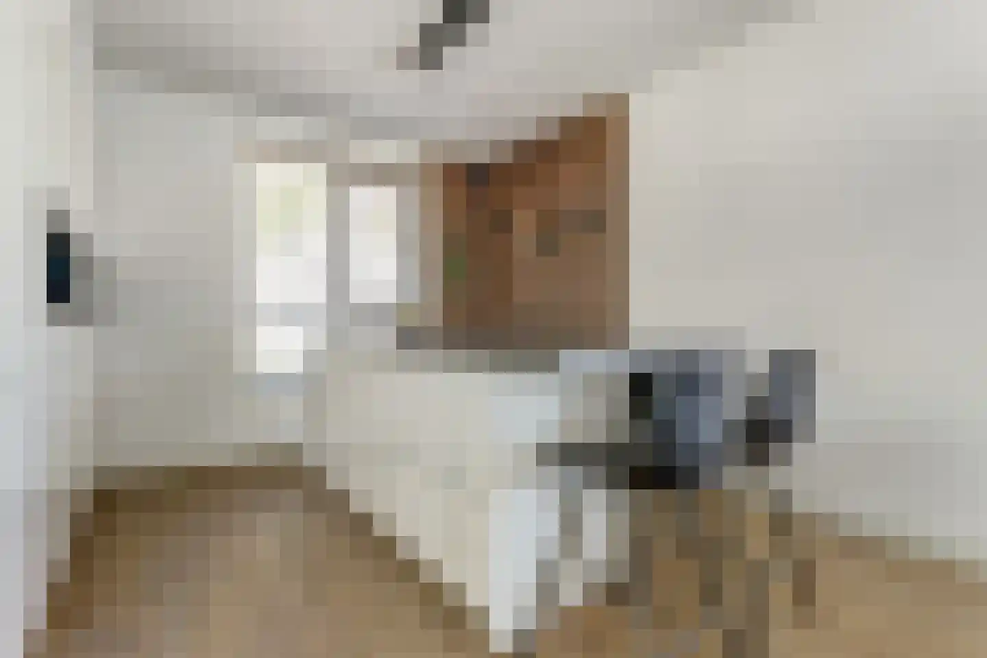 De Nielt 35 Cuijk thumbnail 27