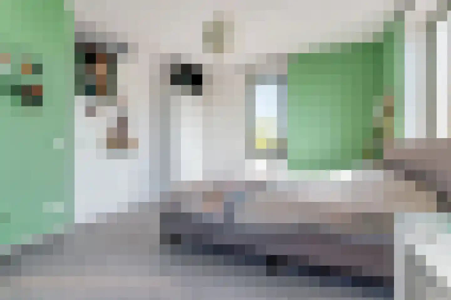 De Nielt 35 Cuijk thumbnail 41