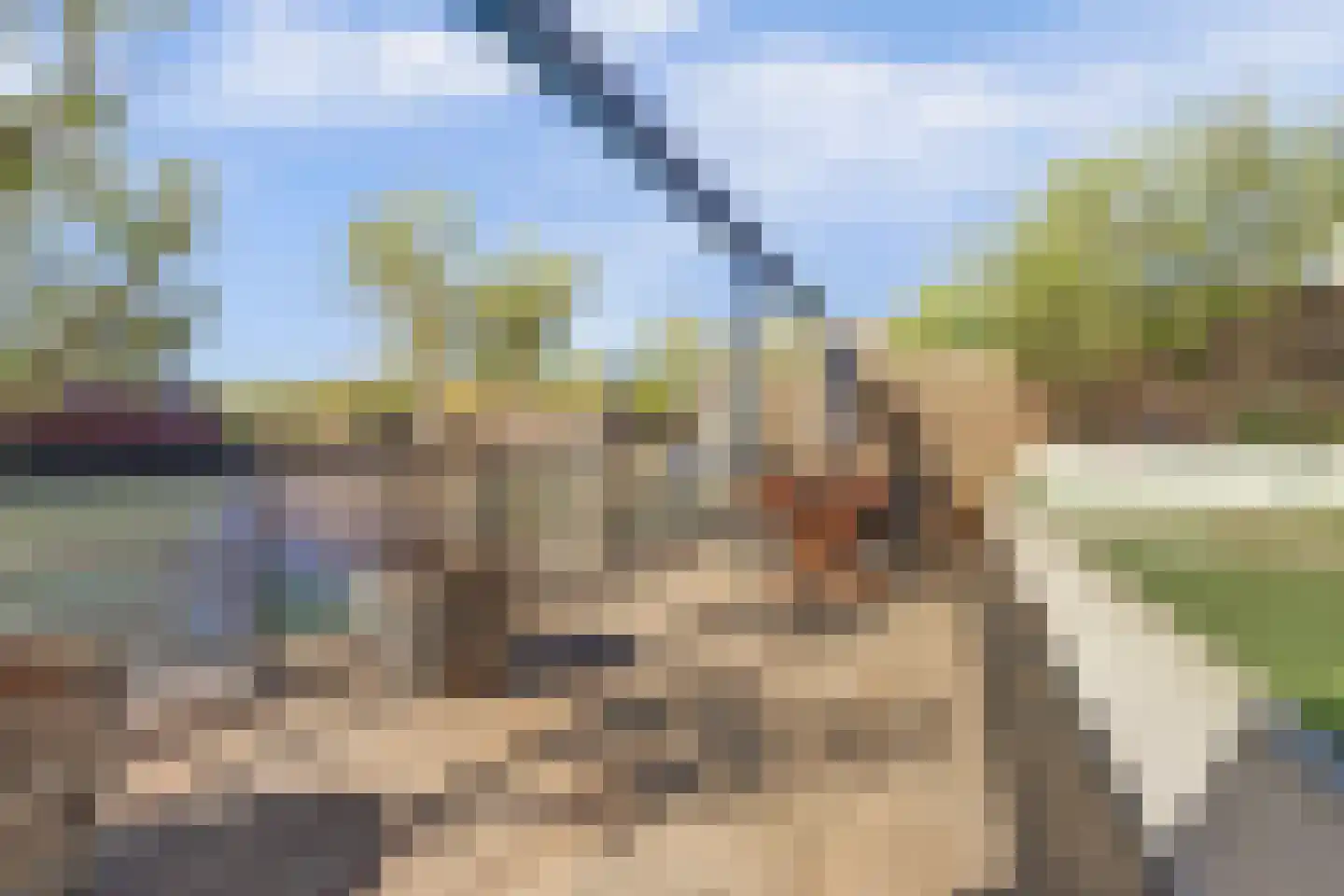 De Nielt 35 Cuijk thumbnail 50